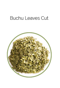 PHARMA GERMANIA - Buchu Leaves Cut - 60g | One Life Health