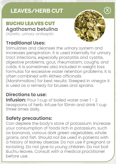 PHARMA GERMANIA - Buchu Leaves Cut - 60g | One Life Health