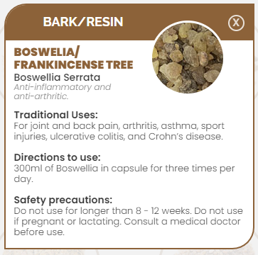 PHARMA GERMANIA - Boswellia Serrata - 100g | One Life Health
