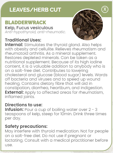 PHARMA GERMANIA - Bladderwrack - 100g | One Life Health