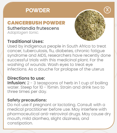 PHARMA GERMANIA - Cancerbush Sutherlandia - 75g | One Life Health