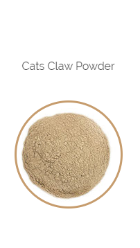 PHARMA GERMANIA - Cats Claw Powder - 100g | One Life Health