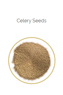 PHARMA GERMANIA - Celery Seed - 100g | One Life Health