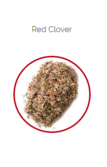 PHARMA GERMANIA - Red Clover - 60g | One Life Health
