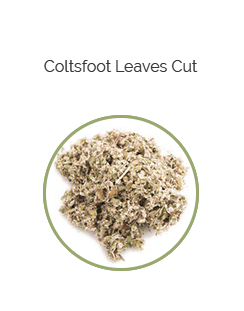 PHARMA GERMANIA - Coltsfoot Leaves Cut - 75g | One Life Health