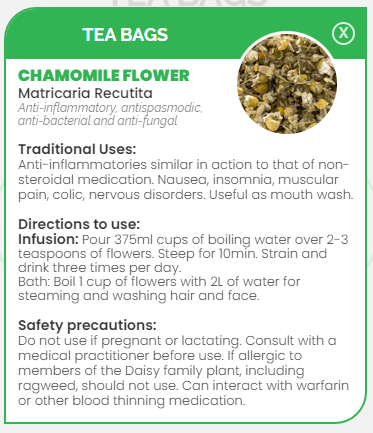 PHARMA GERMANIA - Chamomile Flowers - 25 Tea Bags | One Life Health