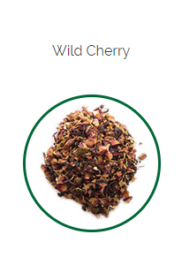 PHARMA GERMANIA - Wild Cherry Fruit Tea - 25 Tea Bags | One Life Health