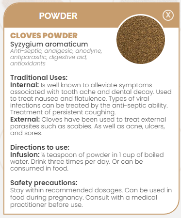 PHARMA GERMANIA - Cloves Powder - 100g | One Life Health