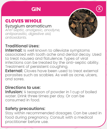 PHARMA GERMANIA - Cloves Whole - 100g | One Life Health