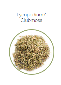 PHARMA GERMANIA - Lycopodium Clubmoss - 100g | One Life Health