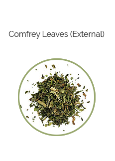 PHARMA GERMANIA - Comfrey Leaves - 100g