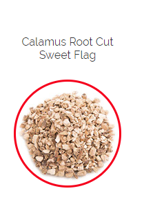 PHARMA GERMANIA - Calamus Root Cut - 100g | One Life Health