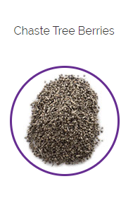 PHARMA GERMANIA - Chase Tree Berries - 75g | One Life Health