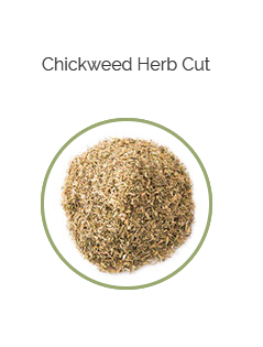 PHARMA GERMANIA - Chickweed Herb Cut - 75g | One Life Health