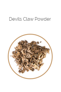 PHARMA GERMANIA - Devils Claw Slices - 100g | One Life Health