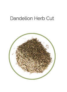 PHARMA GERMANIA - Dandelion Herb Cut - 75g | One Life Health