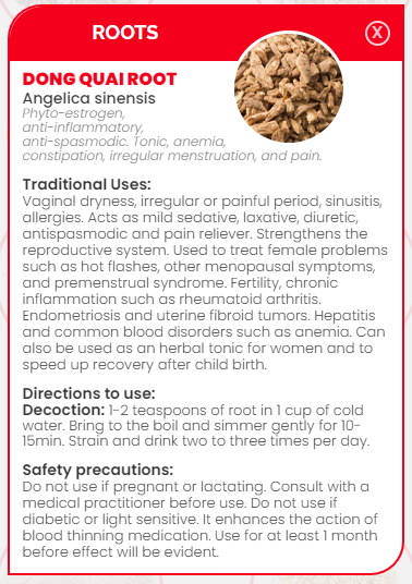 PHARMA GERMANIA - Dong Quai - 100g | One Life Health