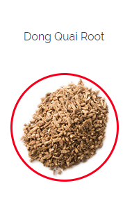 PHARMA GERMANIA - Dong Quai - 100g | One Life Health
