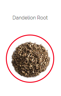 PHARMA GERMANIA - Dandelion Root - 100g | One Life Health