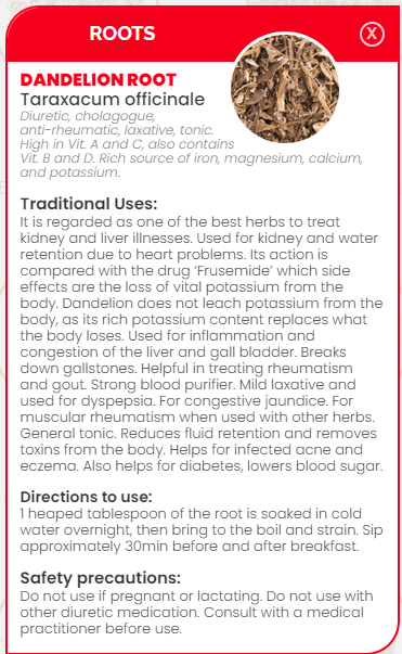 PHARMA GERMANIA - Dandelion Root - 100g | One Life Health