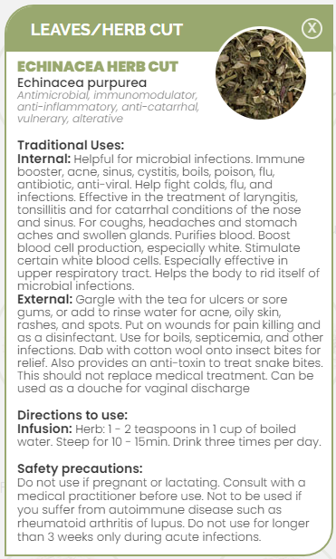 PHARMA GERMANIA - Echinacea Herb Cut - 50g | One Life Health