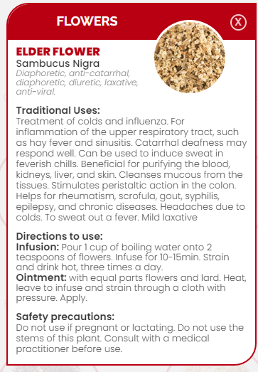 PHARMA GERMANIA - Elder Flowers - 75g | One Life Health