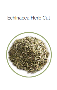 PHARMA GERMANIA - Echinacea Herb Cut - 50g | One Life Health