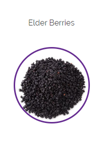 PHARMA GERMANIA - Elder Berries - 100g | One Life Health