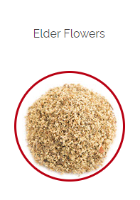 PHARMA GERMANIA - Elder Flowers - 75g | One Life Health