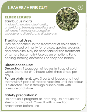 PHARMA GERMANIA - Elder Leaves - 75g | One Life Health