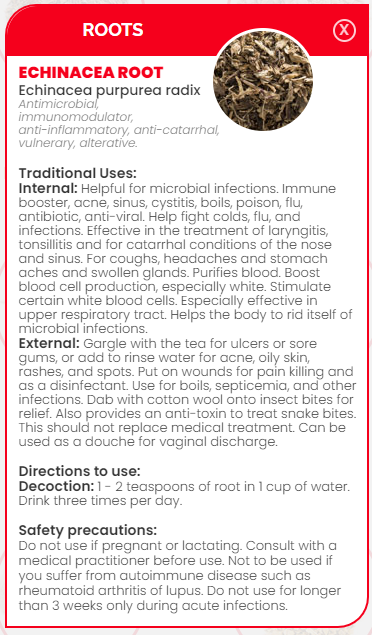 PHARMA GERMANIA - Echinacea Root - 50g | One Life Health