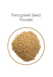 PHARMA GERMANIA - Fenugreek Seed Powder - 100g | One Life Health