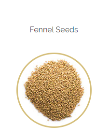 PHARMA GERMANIA - Fennel Seeds - 100g | One Life Health