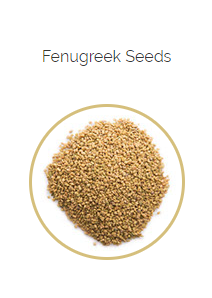 PHARMA GERMANIA - Fenugreek Seeds - 100g | One Life Health