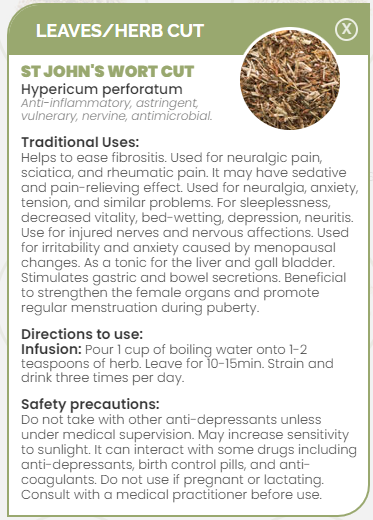 PHARMA GERMANIA - St John's Wort - 75g | One Life Health