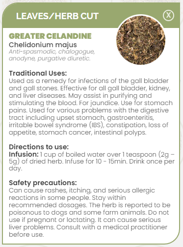 PHARMA GERMANIA - Great Celandine - 100g | One Life Health