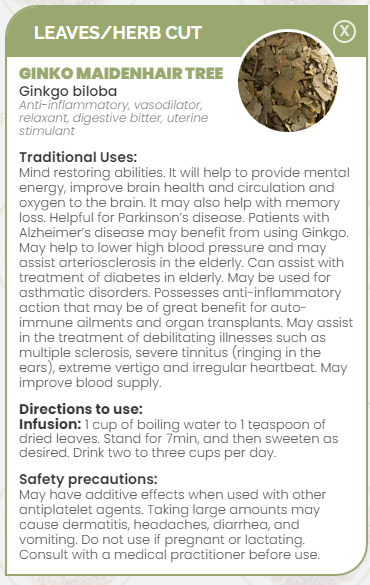 PHARMA GERMANIA - Ginkgo Leaves - 60g | One Life Health