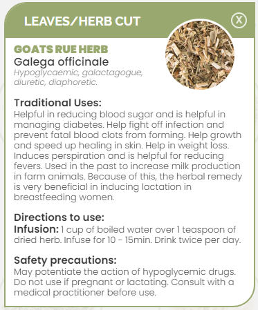 PHARMA GERMANIA - Goats Rue Herb - 75g | One Life Health