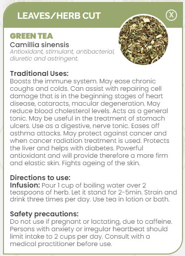 PHARMA GERMANIA - Green Tea - 100g | One Life Health