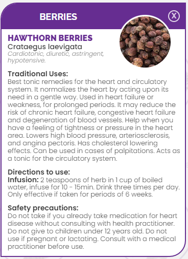 PHARMA GERMANIA - Hawthorn Berries - 100g | One Life Health