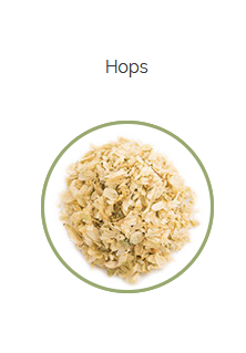PHARMA GERMANIA - Hops - 40g | One Life Health