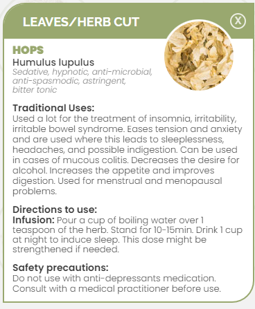 PHARMA GERMANIA - Hops - 40g | One Life Health