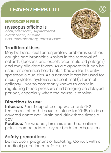 PHARMA GERMANIA - Hyssop Herb - 75g | One Life Health