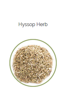 PHARMA GERMANIA - Hyssop Herb - 75g | One Life Health