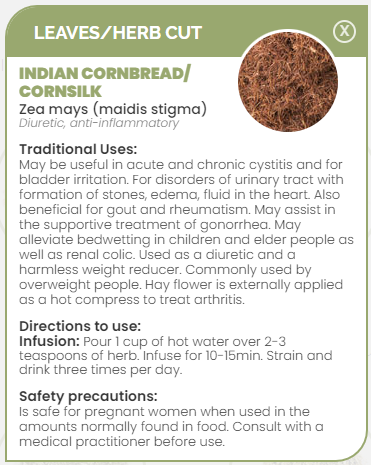 PHARMA GERMANIA - Indian Cornbread - 50g | One Life Health