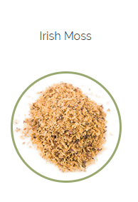 PHARMA GERMANIA - Irish Moss - 75g | One Life Health