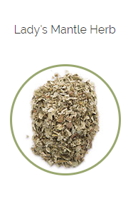 PHARMA GERMANIA - Lady's Mantle Herb - 60g | One Life Health