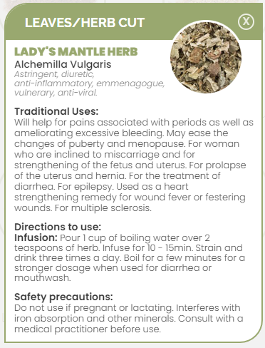 PHARMA GERMANIA - Lady's Mantle Herb - 60g | One Life Health