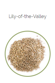 PHARMA GERMANIA - Lily-of-the-Valley - 75g | One Life Health