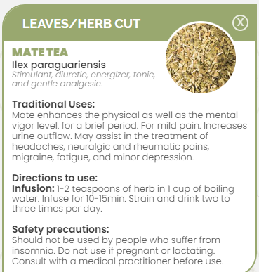 PHARMA GERMANIA - Mate Tea - 100g | One Life Health